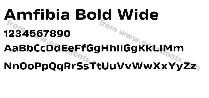 Amfibia Bold WidePreview