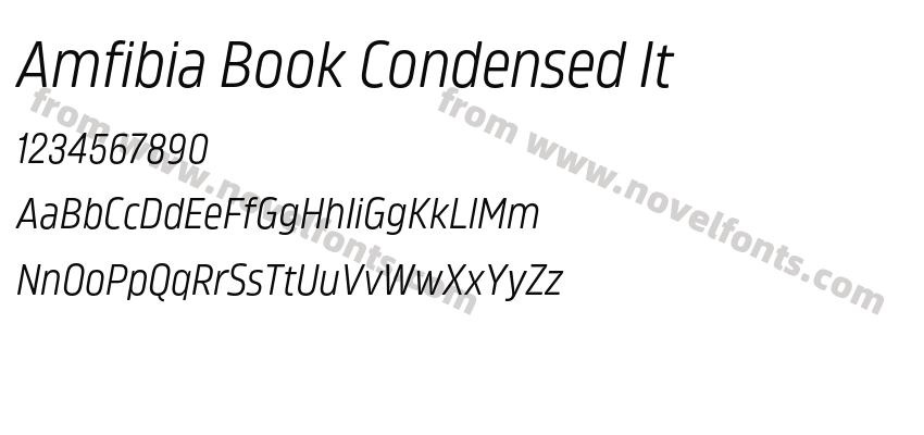 Amfibia Book Condensed ItPreview