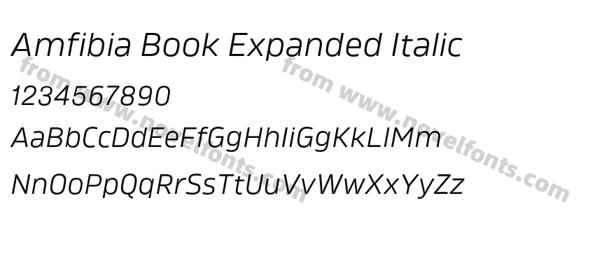 Amfibia Book Expanded ItalicPreview