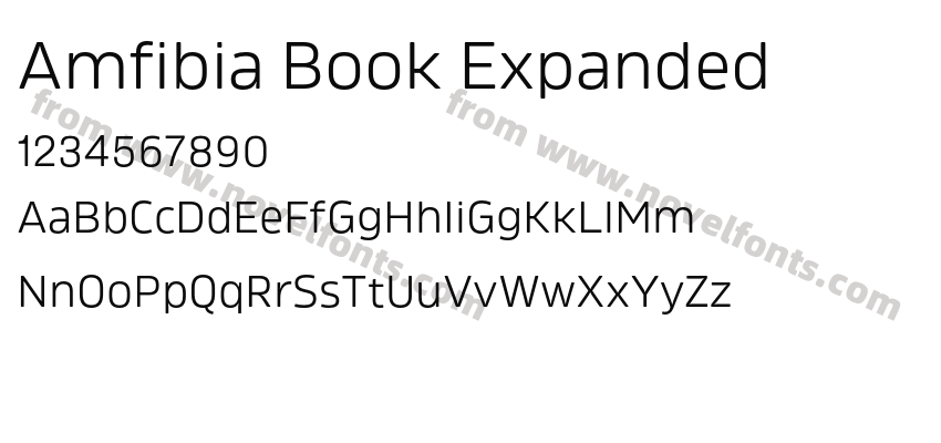 Amfibia Book ExpandedPreview