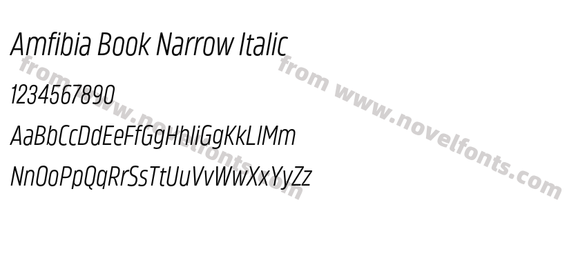 Amfibia Book Narrow ItalicPreview