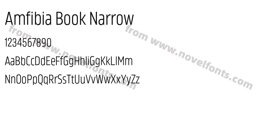 Amfibia Book NarrowPreview