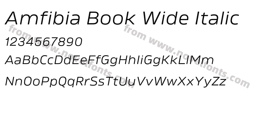 Amfibia Book Wide ItalicPreview