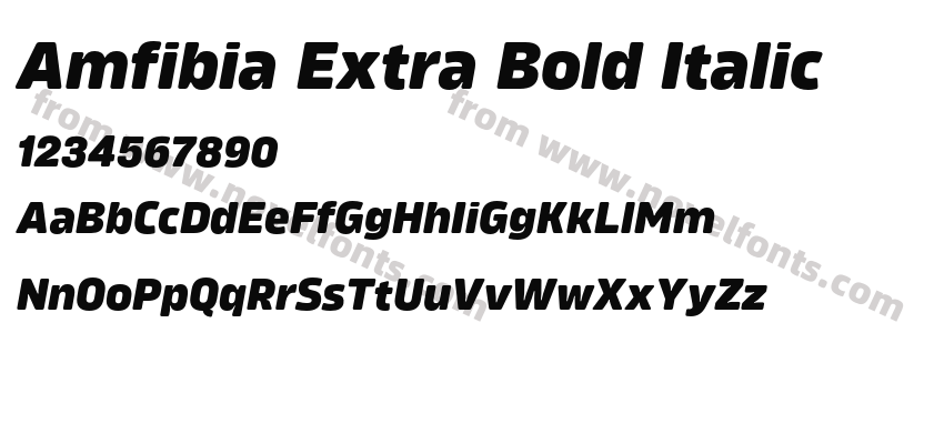 Amfibia Extra Bold ItalicPreview