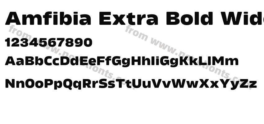 Amfibia Extra Bold WidePreview