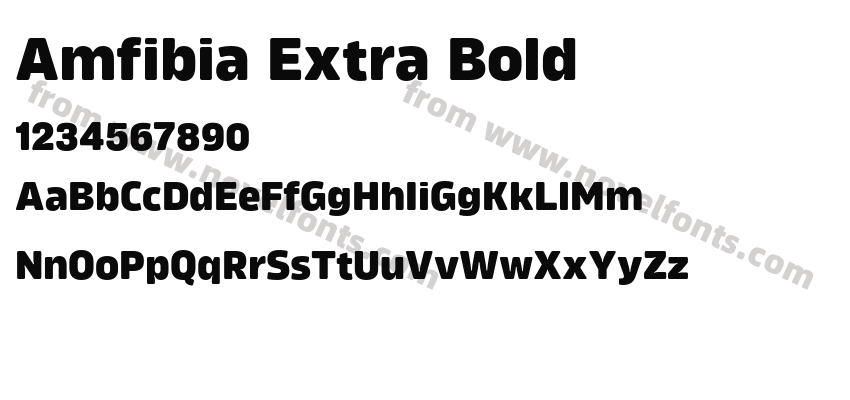 Amfibia Extra BoldPreview