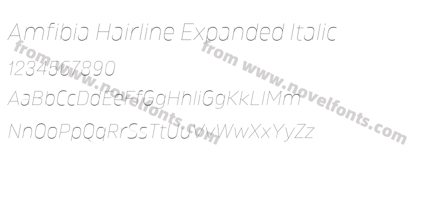 Amfibia Hairline Expanded ItalicPreview