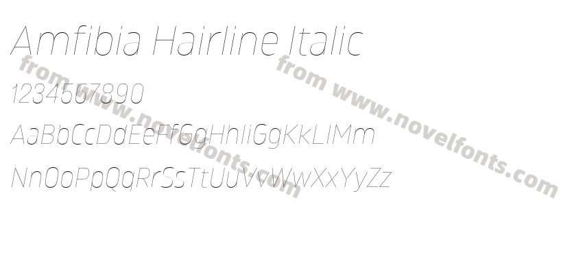 Amfibia Hairline ItalicPreview