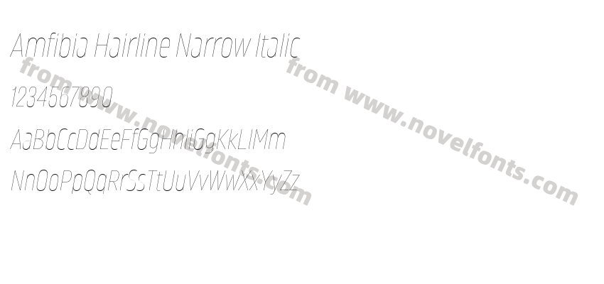 Amfibia Hairline Narrow ItalicPreview