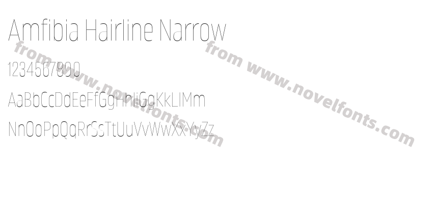 Amfibia Hairline NarrowPreview