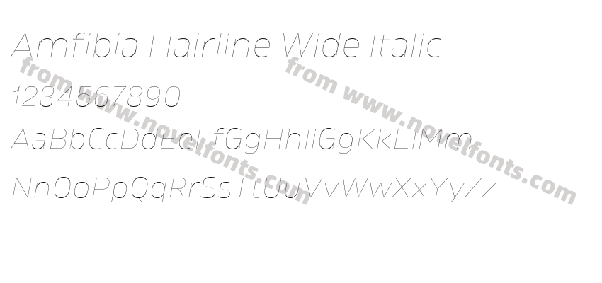 Amfibia Hairline Wide ItalicPreview