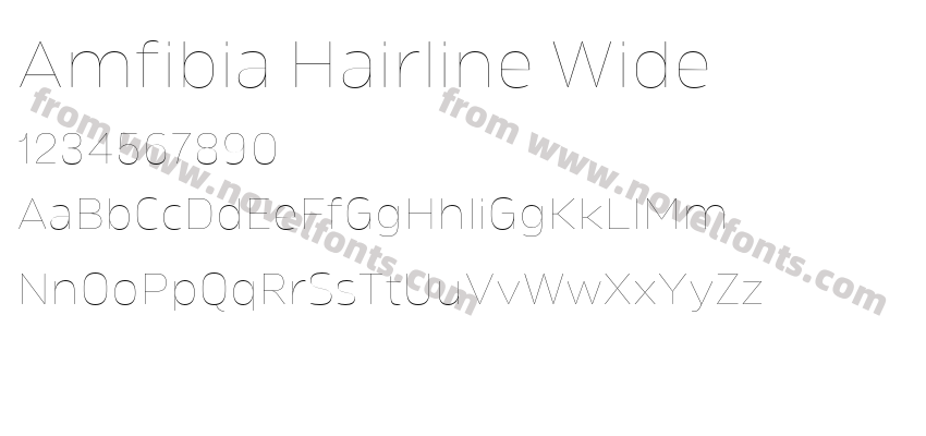 Amfibia Hairline WidePreview