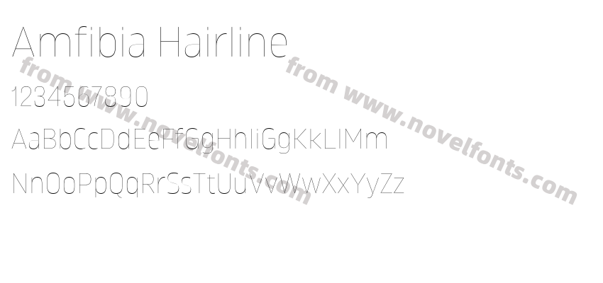 Amfibia HairlinePreview