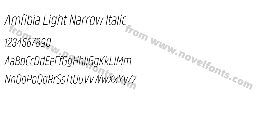 Amfibia Light Narrow ItalicPreview
