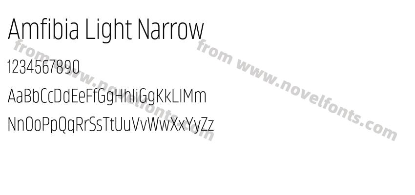 Amfibia Light NarrowPreview