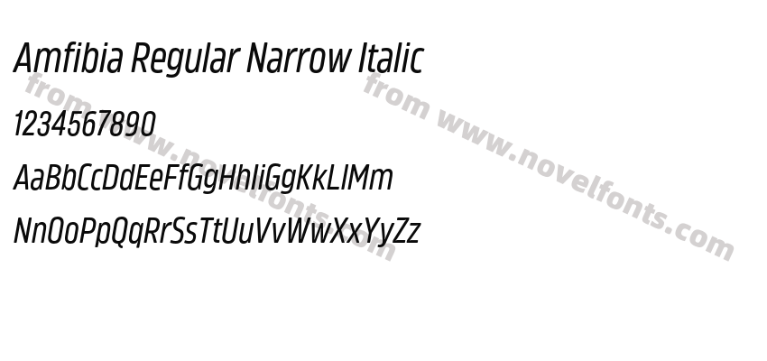 Amfibia Regular Narrow ItalicPreview