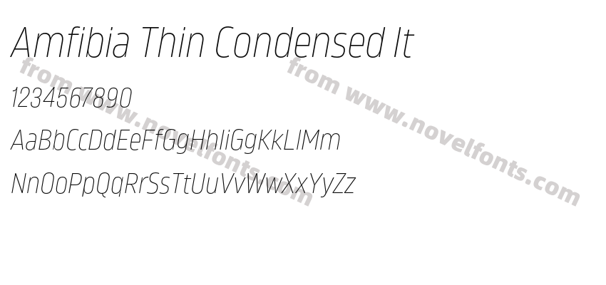 Amfibia Thin Condensed ItPreview