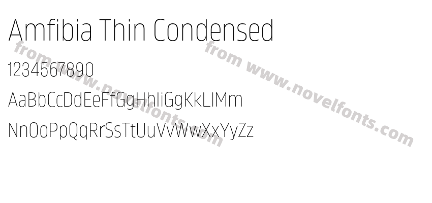 Amfibia Thin CondensedPreview