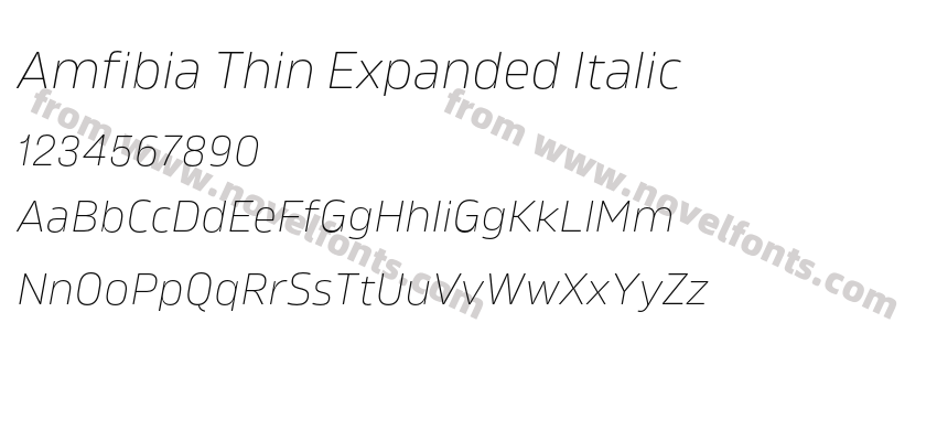 Amfibia Thin Expanded ItalicPreview