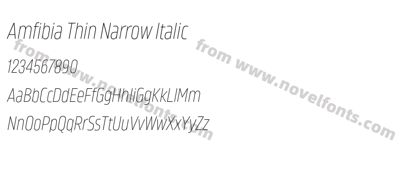 Amfibia Thin Narrow ItalicPreview