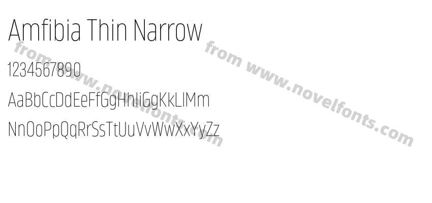 Amfibia Thin NarrowPreview