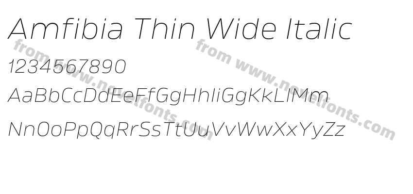 Amfibia Thin Wide ItalicPreview