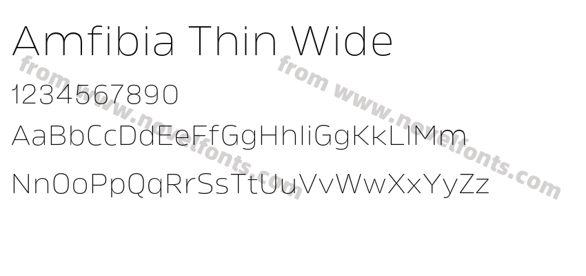Amfibia Thin WidePreview