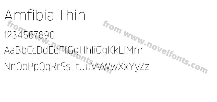 Amfibia ThinPreview