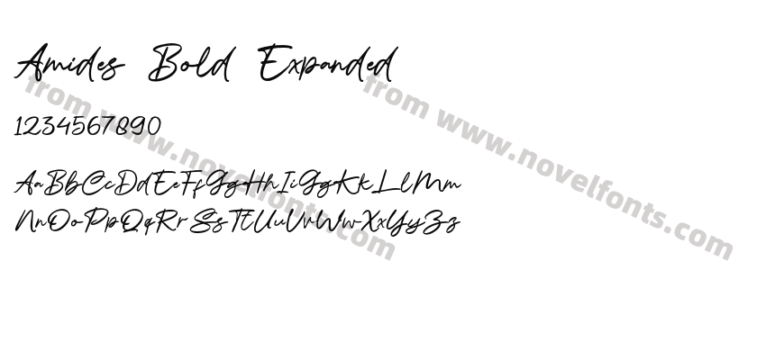 Amides Bold ExpandedPreview