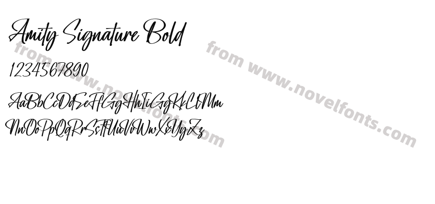 Amity Signature BoldPreview