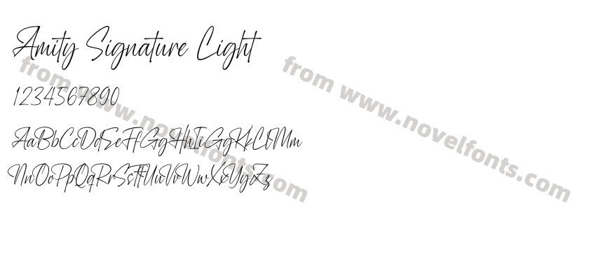 Amity Signature LightPreview