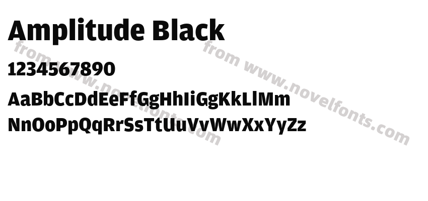 Amplitude BlackPreview