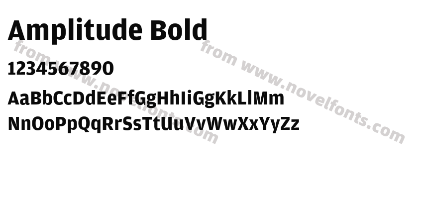 Amplitude BoldPreview