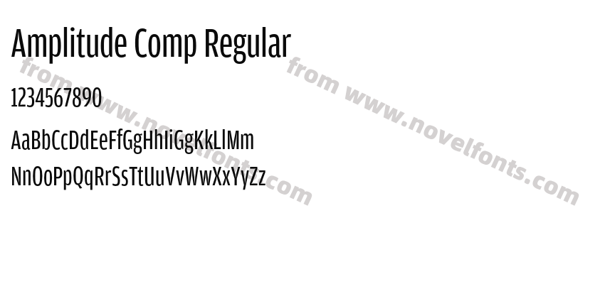 Amplitude Comp RegularPreview