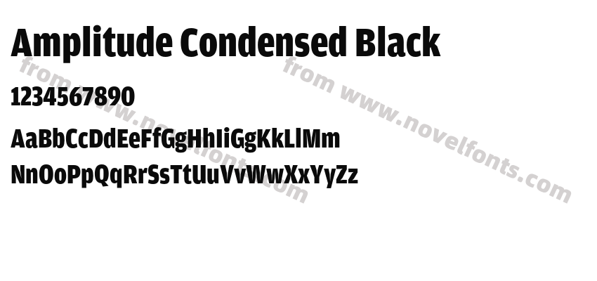 Amplitude Condensed BlackPreview