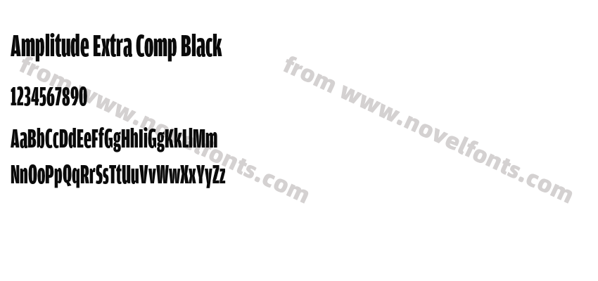 Amplitude Extra Comp BlackPreview