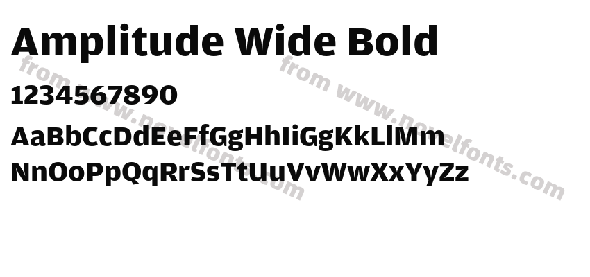 Amplitude Wide BoldPreview