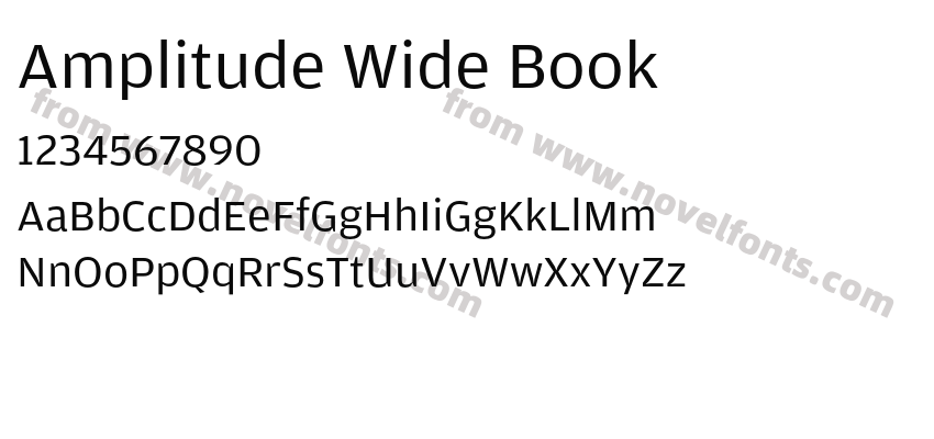 Amplitude Wide BookPreview