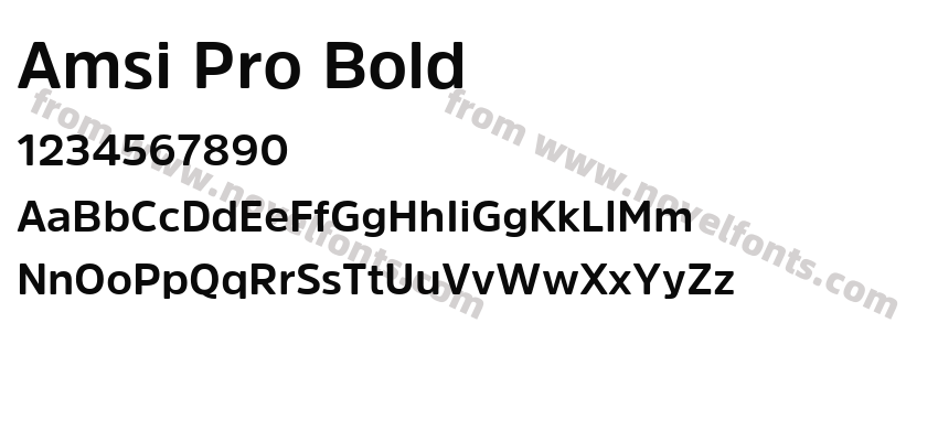 Amsi Pro BoldPreview