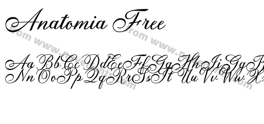 Anatomia FreePreview
