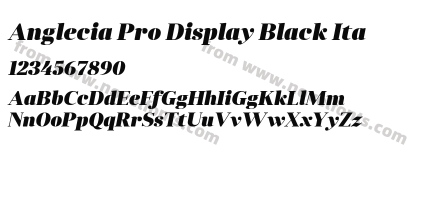 Anglecia Pro Display Black ItaPreview