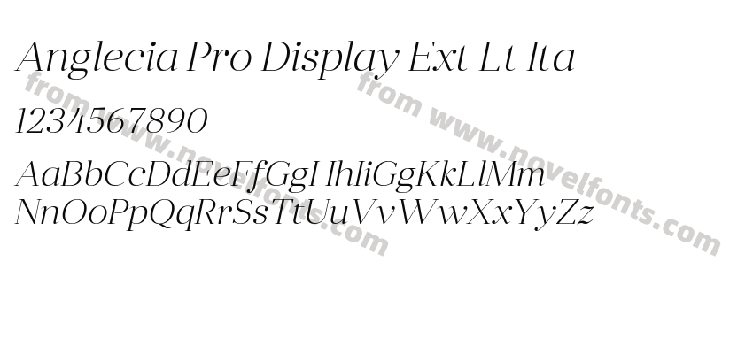 Anglecia Pro Display Ext Lt ItaPreview