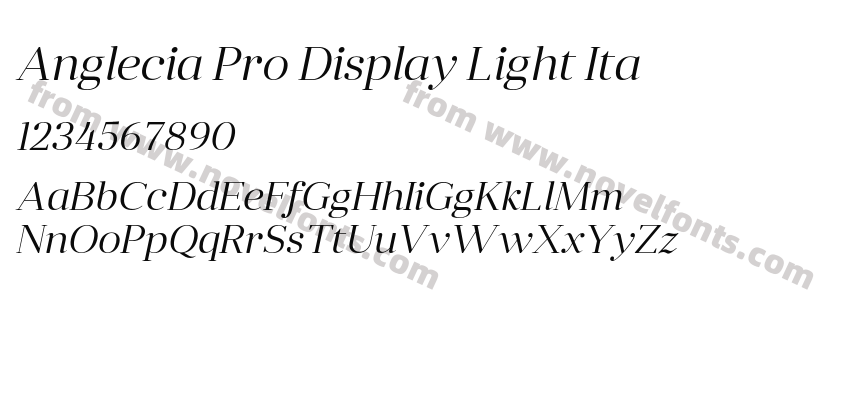 Anglecia Pro Display Light ItaPreview
