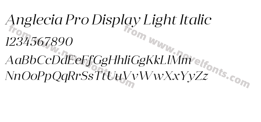 Anglecia Pro Display Light ItalicPreview
