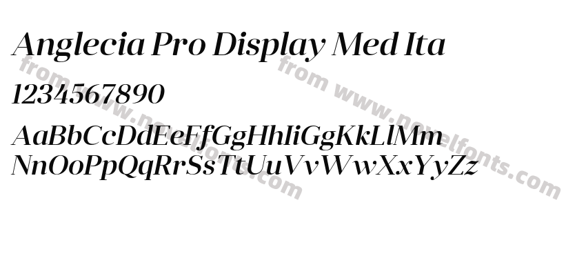 Anglecia Pro Display Med ItaPreview