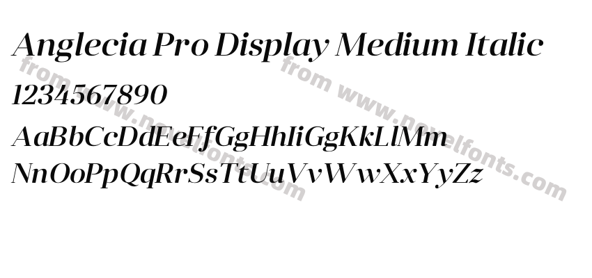 Anglecia Pro Display Medium ItalicPreview