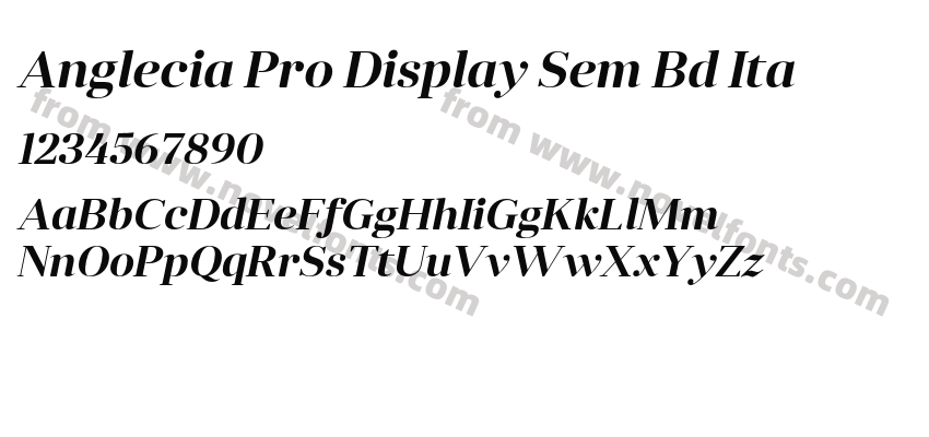 Anglecia Pro Display Sem Bd ItaPreview