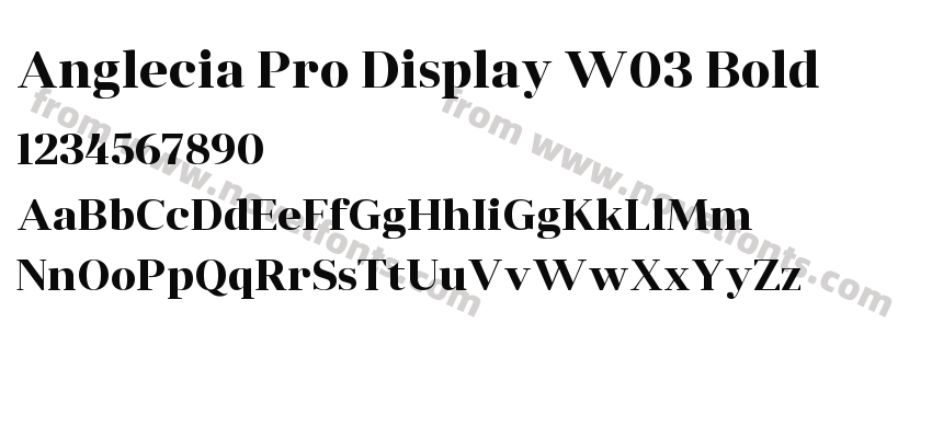 Anglecia Pro Display W03 BoldPreview