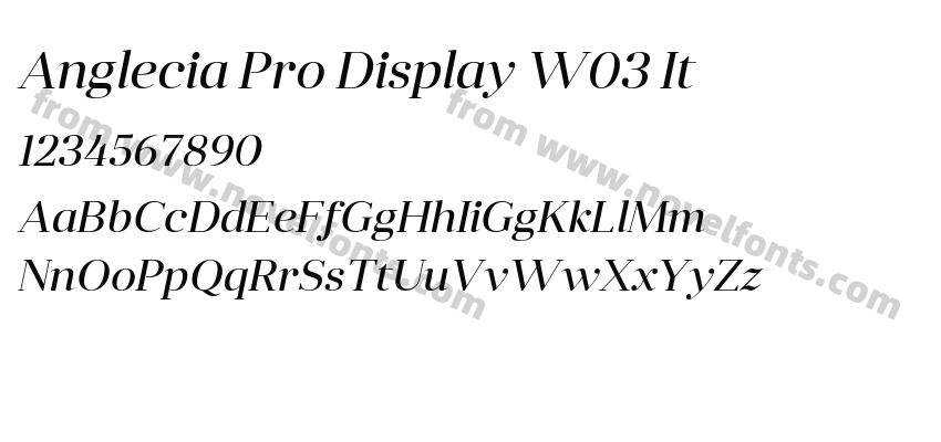 Anglecia Pro Display W03 ItPreview