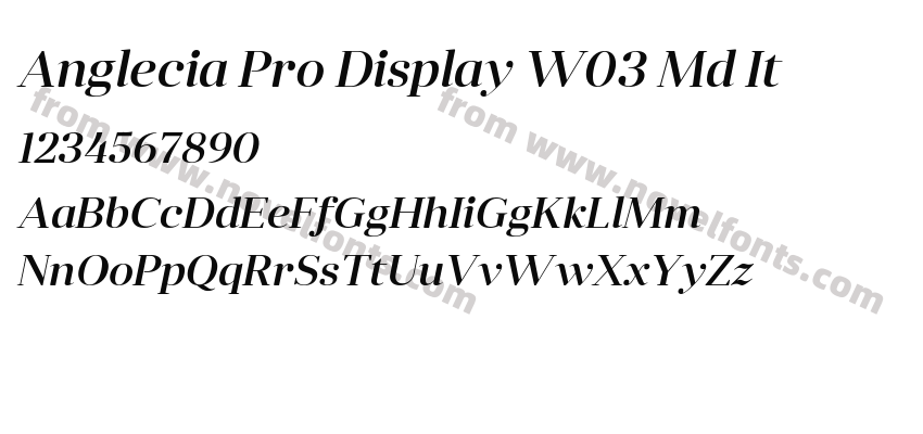 Anglecia Pro Display W03 Md ItPreview